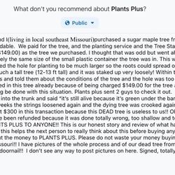 Plants Plus