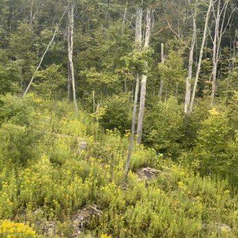 Belleayre Mountain - Mountains in the summer - Ski Resorts Near Me - Highmount, New York