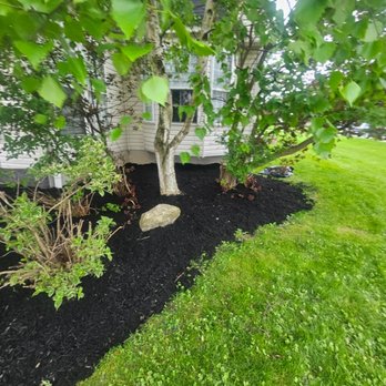 JBD Enterprises - Lay mulch down after we cleaned weeds up - Junk Removal & Hauling Near Me JBD Enterprises - Lay mulch down after we cleaned weeds up - Junk Removal & Hauling Near Me