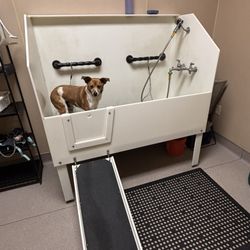 Pets to Go - Getting ready for a bath