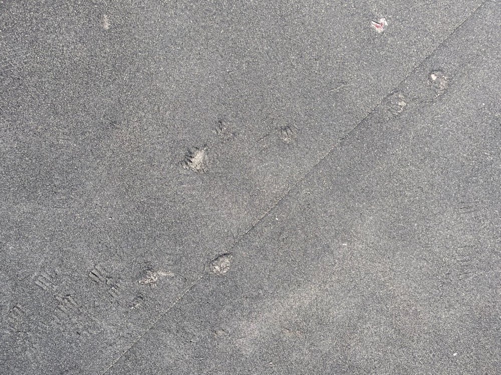 Slide of One Stop Roofers