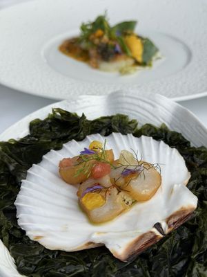 L'Oiseau Blanc by null L'Oiseau Blanc by null