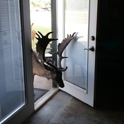 Hidden Lake Safari Ranch and RV Park