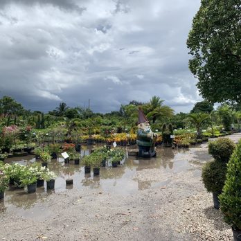 Nu Turf of Pompano Beach - Nurseries & Gardening Near Me - Pompano Beach, Florida