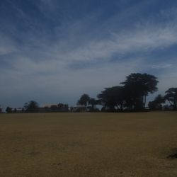 Park