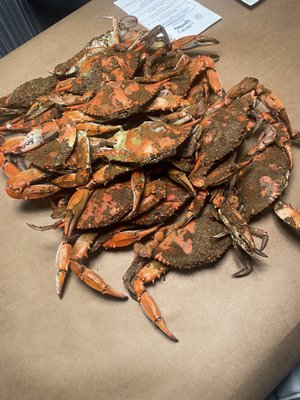 Conrad's Seafood Restaurant by null