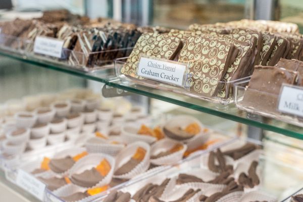 Miami Beach Chocolates by null