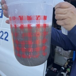 Dirt lifted from carpets ! Dirt lifted from carpets !