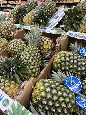 BJ's Wholesale Club Gas Station