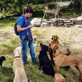 Sarah's Pet Services - Dog Walkers Near Me