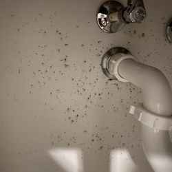 Promises Atlanta - Bathroom leaked everywhere into the hallways, they told me to just take short showers