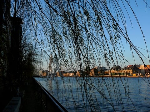 Molecule Man by null