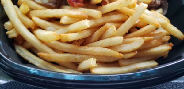 The Slow Buffalo by null