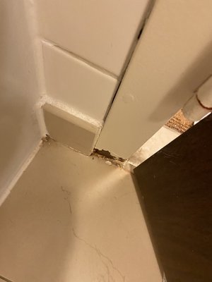 Dallas/Addison Marriott Quorum by the Galleria by null