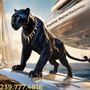 Photo of Panther Marine Electronics
