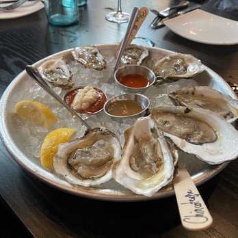 Blackwall Hitch - Oysters - New American Near Me - Baltimore, Maryland