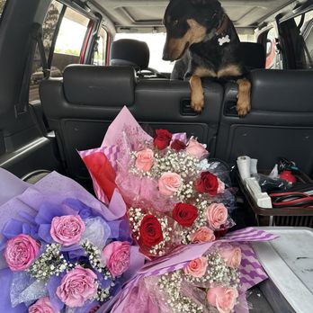 Lily Florist - Florists Near Me - San Gabriel, California Lily Florist - Florists Near Me - San Gabriel, California