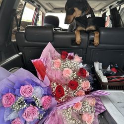Lily Florist