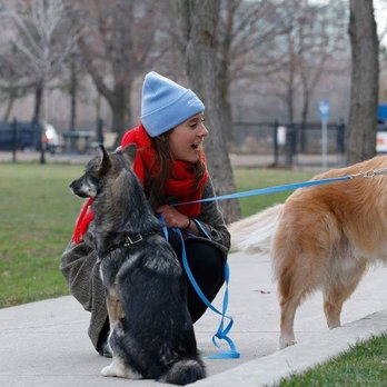 Walk My Dog Toronto - Emma talking to Dr. Jay in Stanley Park - Dog Walkers Near Me - Toronto, Ontario Walk My Dog Toronto - Emma talking to Dr. Jay in Stanley Park - Dog Walkers Near Me - Toronto, Ontario