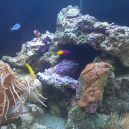One of our beautiful tanks. One of our beautiful tanks.