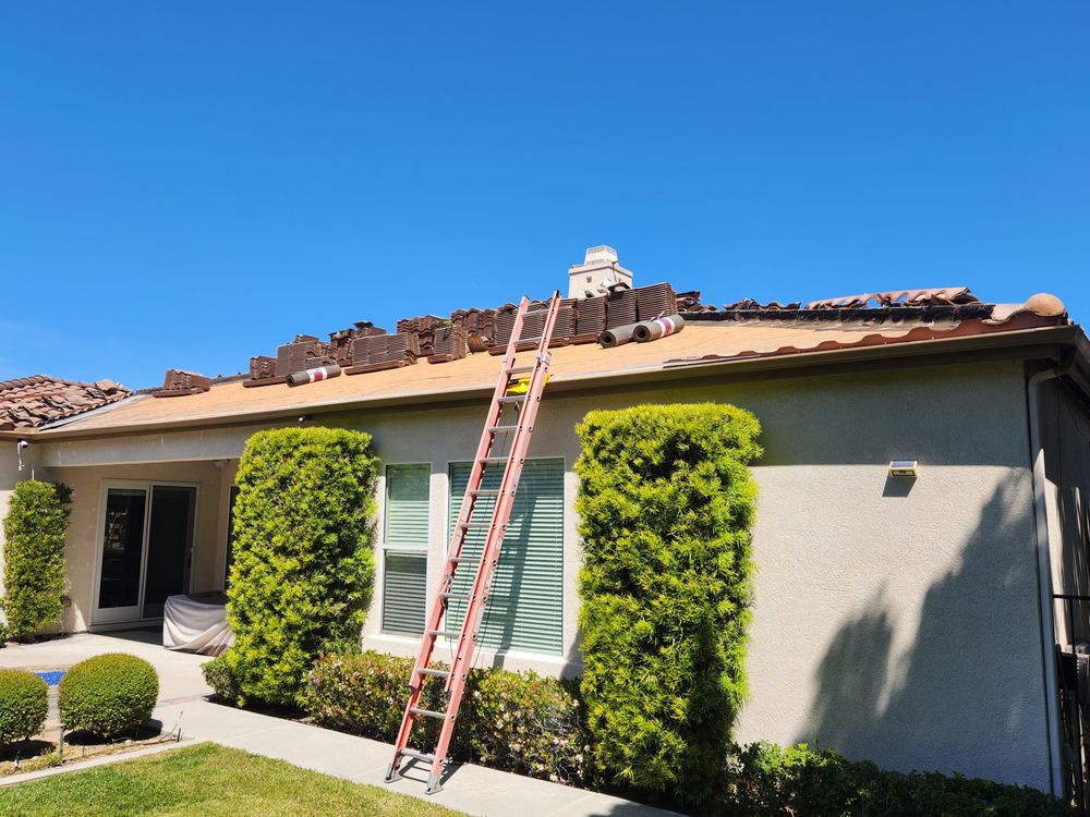 Slide of Cesar Arenas 