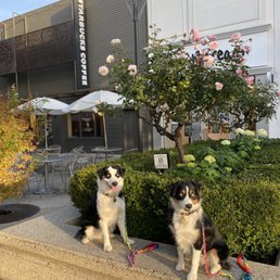 Exterior photo of Zepeda Dogz Exterior photo of Zepeda Dogz