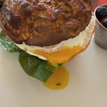 Nectarine Grove - Breakfast sandwich - New American Near Me - Encinitas, California