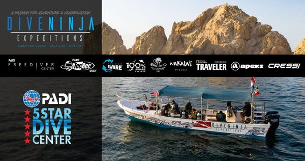 Dive Ninja Expeditions by null