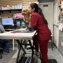 Animal Wellness Center - Exam Room