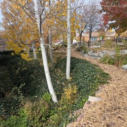 Foothill Montessori - The Outdoor Classroom specialty is a unique experience that supports our students ecological and science education.