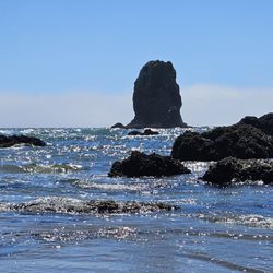 Infinite Oregon Tours - Haystack Rock beach
