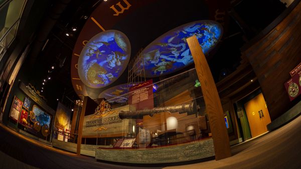 Tampa Bay History Center by null