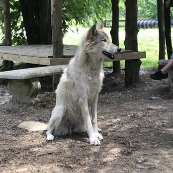Howling Woods Farm - Animal Shelters Near Me - Jackson, New Jersey