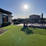 Photo of Z Best Turf