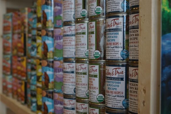 long dog fat cat 90th and center