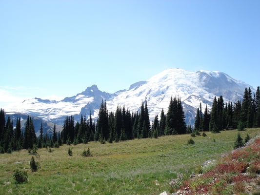 Mount Rainier by null