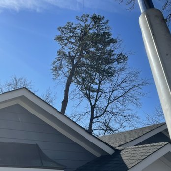The Arborist - Crane removal - Tree Services Near Me