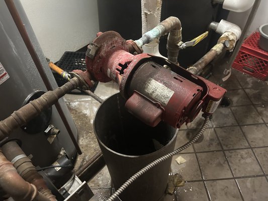 The Service People Logo