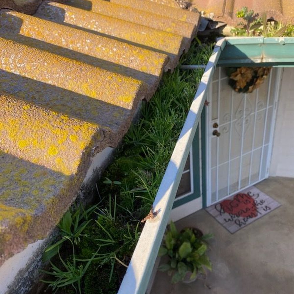 Sunrise Pressure Washing Services - it makes you wonder how grass/weeds even got there but most likely seeds carried by winds - Pressure Washers Near Me Sunrise Pressure Washing Services - it makes you wonder how grass/weeds even got there but most likely seeds carried by winds - Pressure Washers Near Me