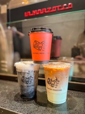 Luce Avenue Coffee Roasters-Garden Oaks by null