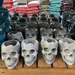 Guzman's Greenhouse - Soil and Pottery