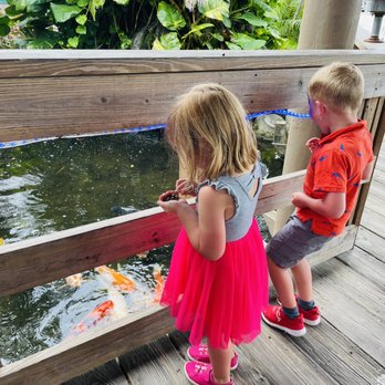 Squid Lips - Feeding the fish! Bring your quarters! - Seafood Near Me - Cocoa Beach, Florida Squid Lips - Feeding the fish! Bring your quarters! - Seafood Near Me - Cocoa Beach, Florida
