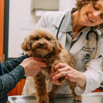 Banfield Pet Hospital - Veterinarians Near Me - Orem, Utah