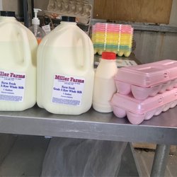 Miller Farms Raw Milk - Look at that cream layer in the milk.