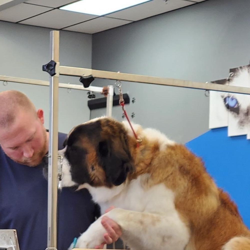 Bingo with his groomer Justin