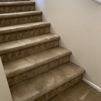 Carpet Monkey - Carpet Cleaning Near Me