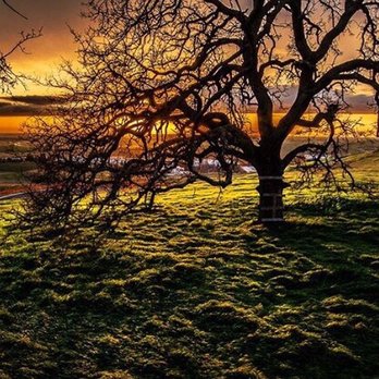 Blackstone El Dorado - Had to share this beauty from last night. - Shot by Front Street Media in El Dorado Hills. - Real Estate Services Near Me - El Dorado Hills, California Blackstone El Dorado - Had to share this beauty from last night. - Shot by Front Street Media in El Dorado Hills. - Real Estate Services Near Me - El Dorado Hills, California