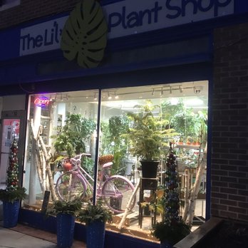 The Li'l Plant Shop - Store front- dark outside. On street parking. - Nurseries & Gardening Near Me - Plainville, Connecticut The Li'l Plant Shop - Store front- dark outside. On street parking. - Nurseries & Gardening Near Me - Plainville, Connecticut