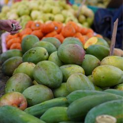 International Farmer’s Market