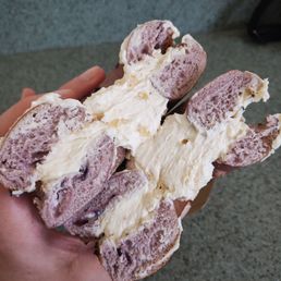 Blueberry Bagel